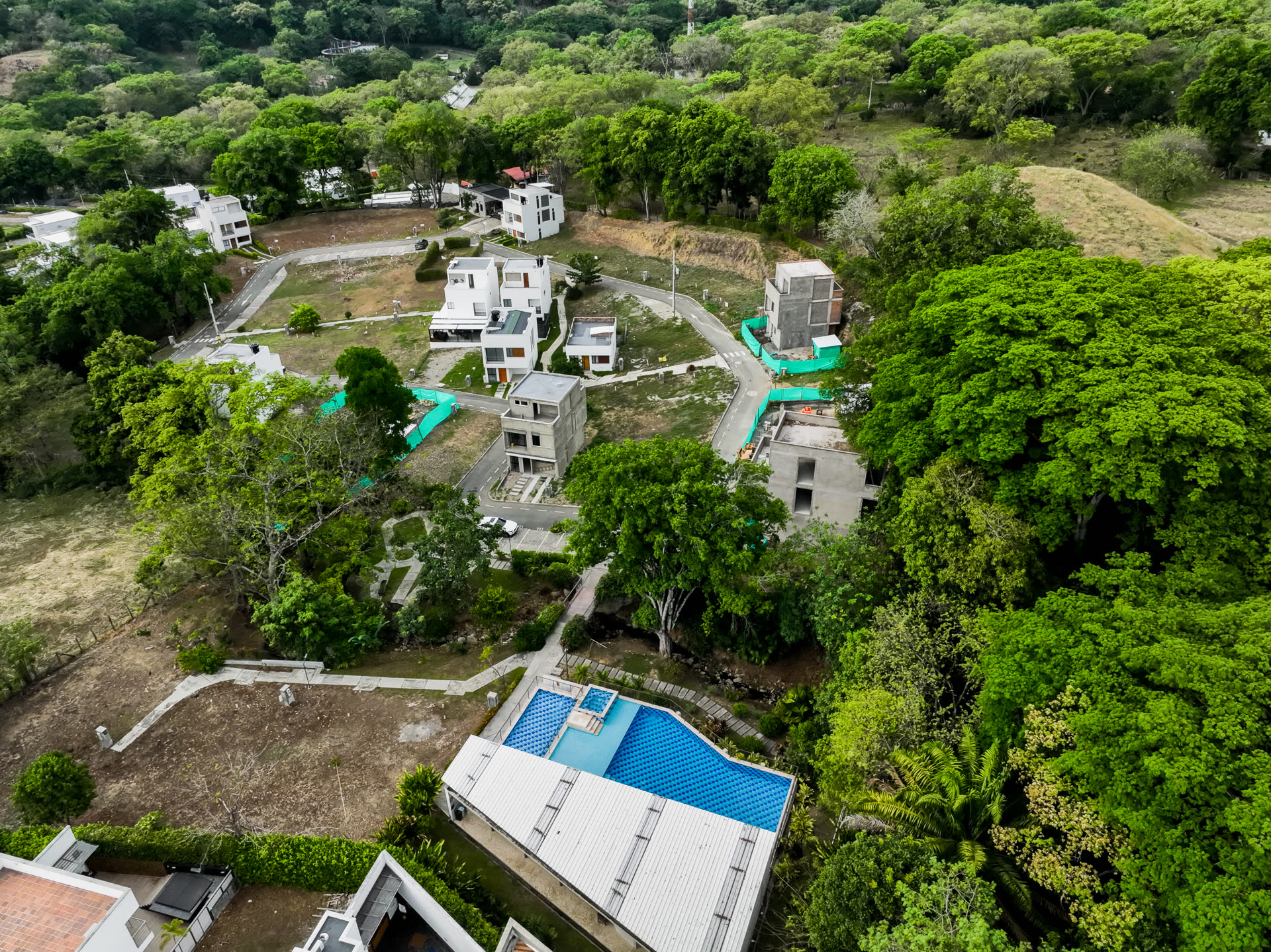 Arboreal, Occidente antioqueño